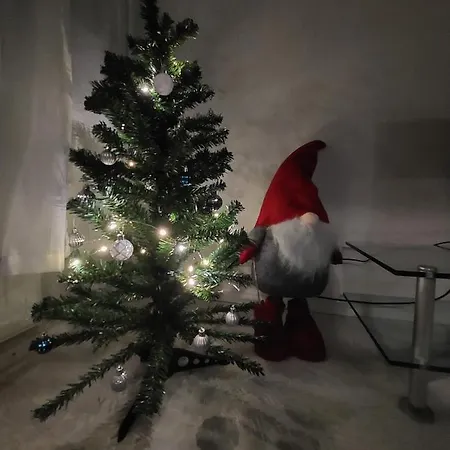 Taimi Rovaniemi