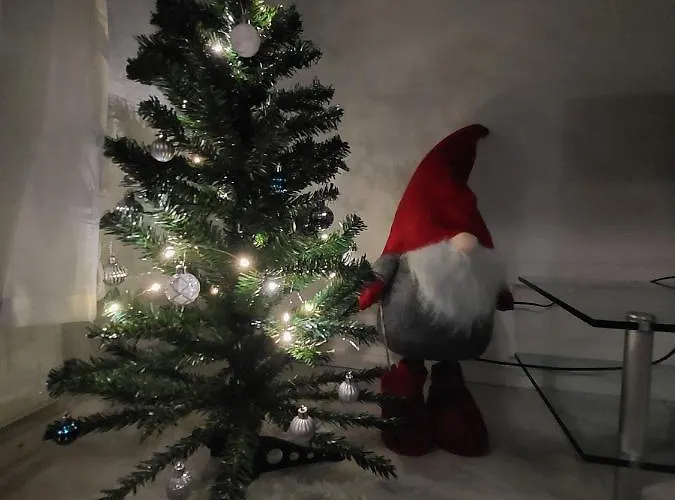 Taimi Ροβανιέμι